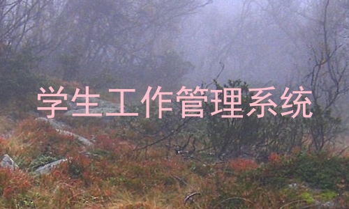 学生工作管理系统