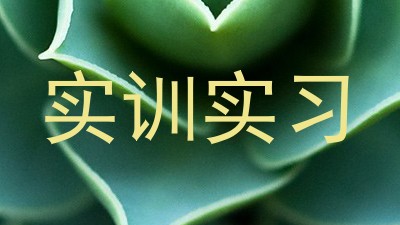 实训实习