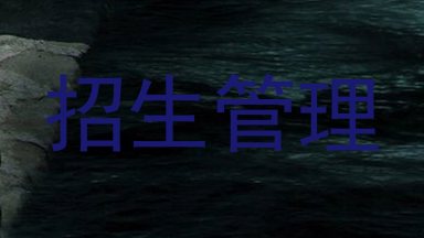 招生管理