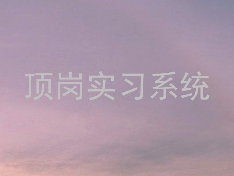 顶岗实习系统