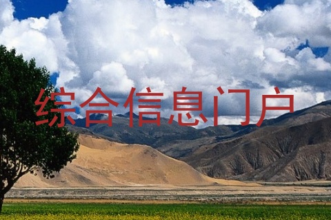 综合信息门户