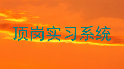 顶岗实习系统