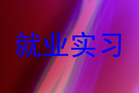 就业实习