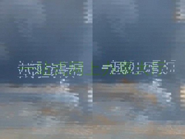 一站式网上办事大厅