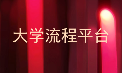 大学流程平台