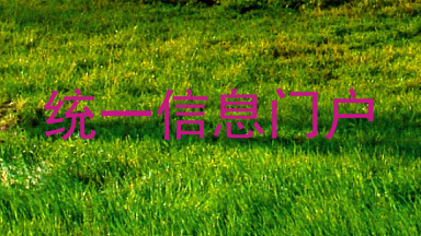 统一信息门户