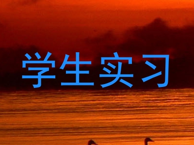 学生实习