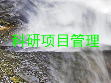 科研项目管理