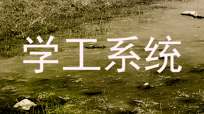 学工系统