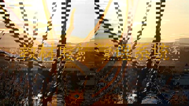 教材发放管理系统