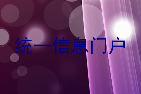 统一信息门户
