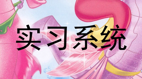 实习系统