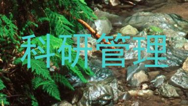 科研管理