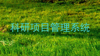 科研项目管理系统