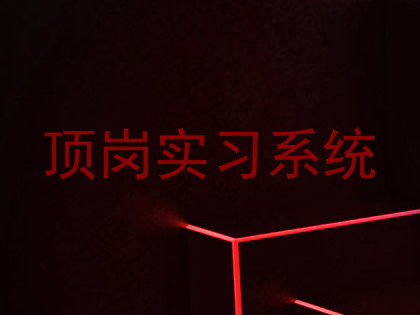 顶岗实习系统