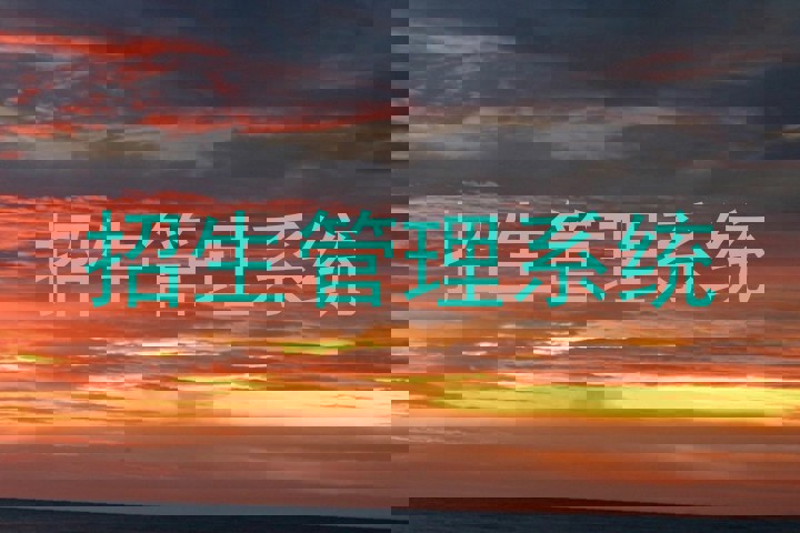 招生管理系统