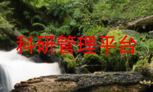 科研管理平台