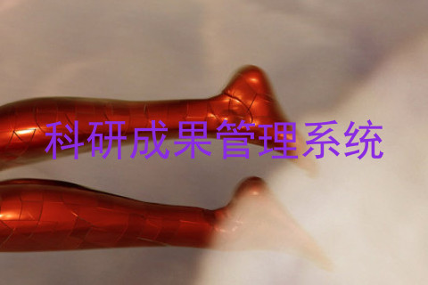 科研成果管理系统