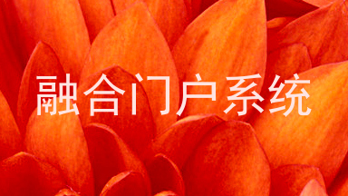 融合门户系统