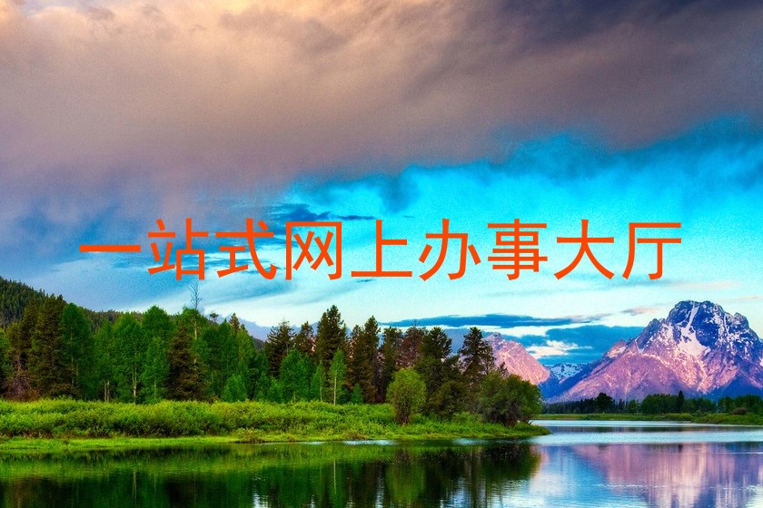 一站式网上办事大厅