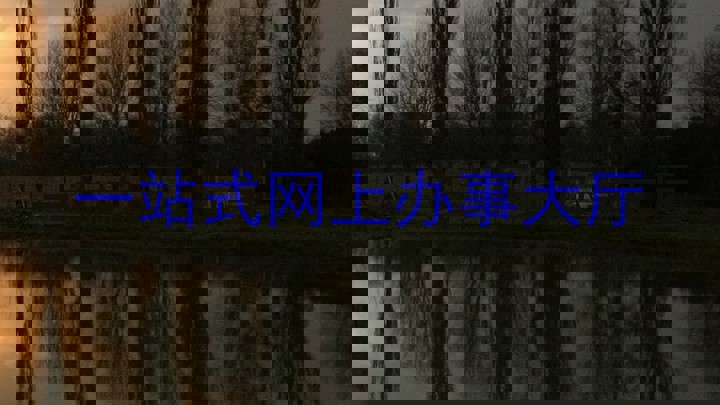 一站式网上办事大厅