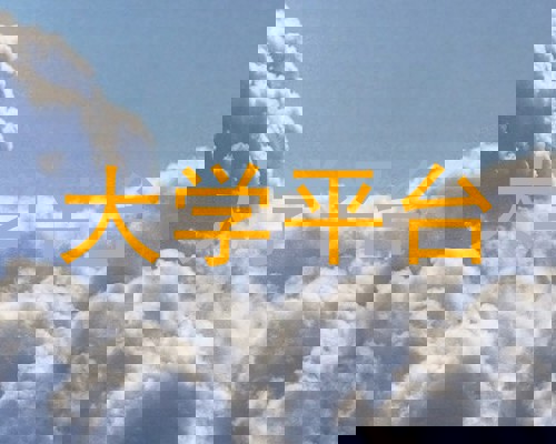 大学平台