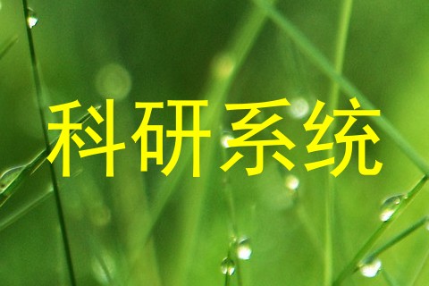 科研系统