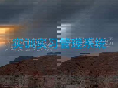 实训实习管理系统