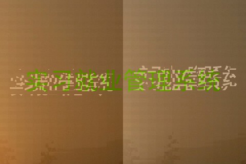 实习就业管理系统