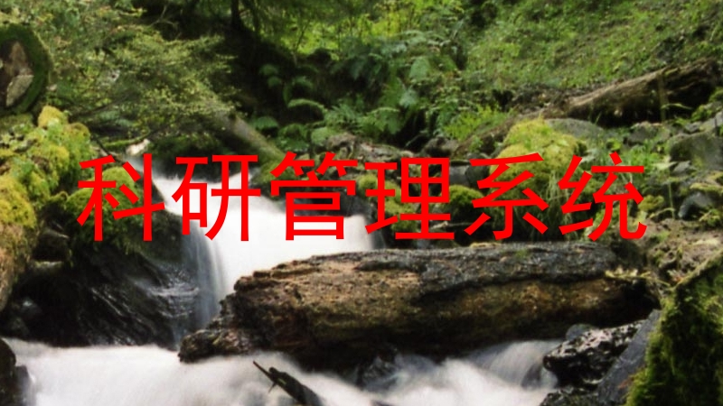 科研管理系统