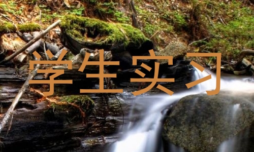 学生实习