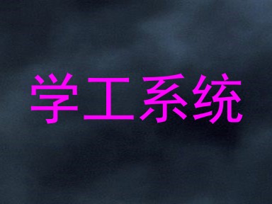 学工系统