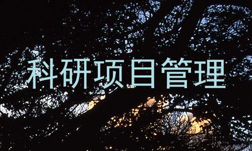 科研项目管理