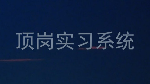 顶岗实习系统
