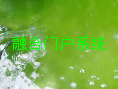 融合门户系统