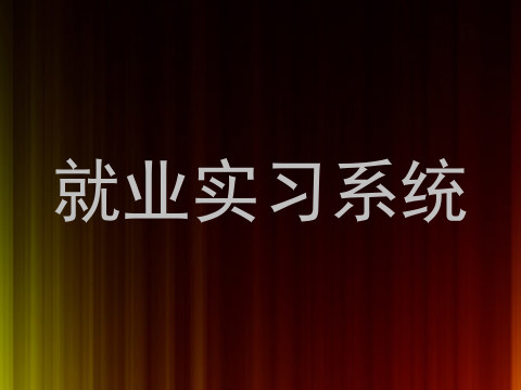 就业实习系统