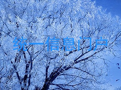 统一信息门户