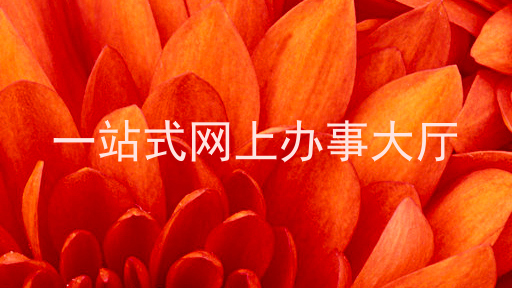 一站式网上办事大厅