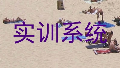 实训系统