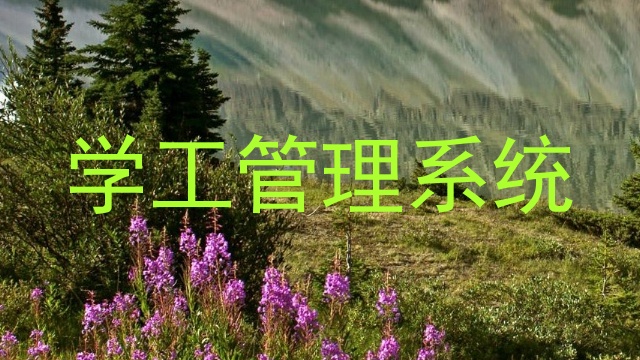 学工管理系统