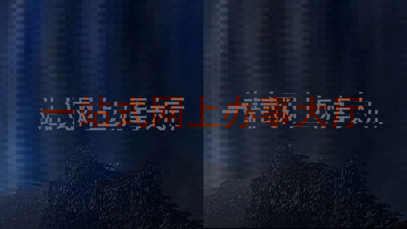 一站式网上办事大厅