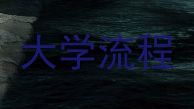 大学流程