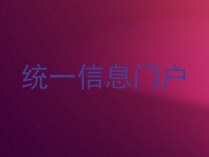 统一信息门户