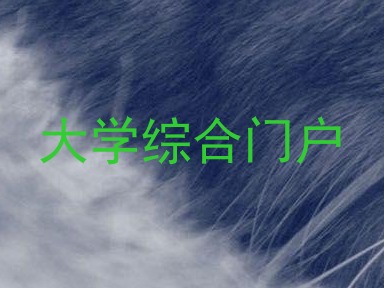 大学综合门户