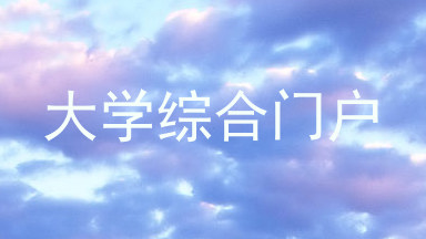 大学综合门户