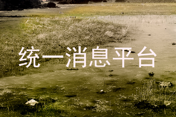 统一消息平台