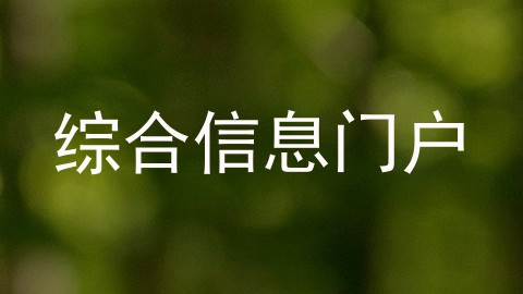 综合信息门户