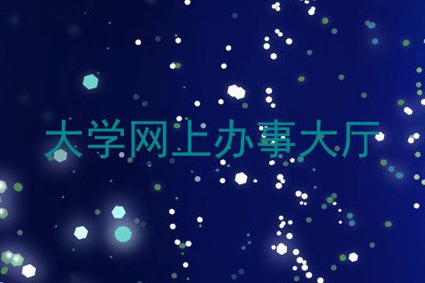 大学网上办事大厅