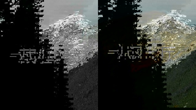 一站式网上办事大厅