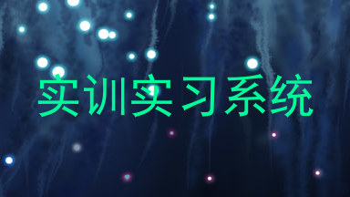 实训实习系统
